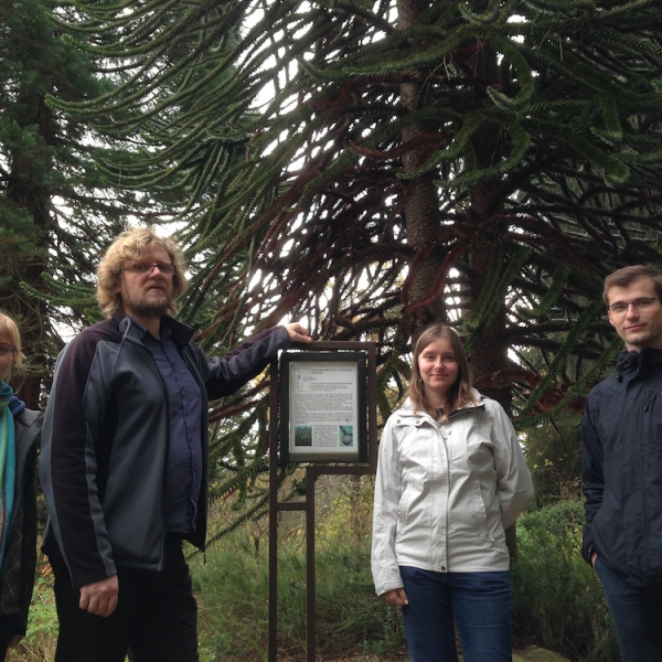 Araucaria-OCA (currently OCM) workshop in Bochum 2017. Weronika, Zibi, Paulina, Piotrek.