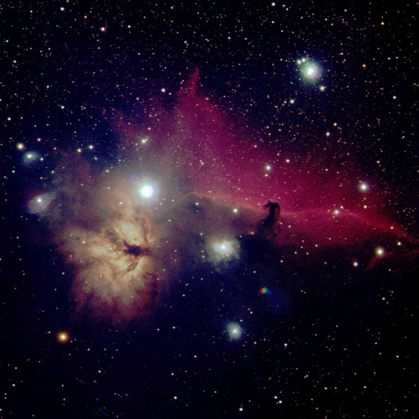 Flame and Horsehead Nebula (NGC 2024 and IC 434), false color RGB image (B, V, R), created with Vysos 6 telescope. Credit: Universitätssternwarte Bochum