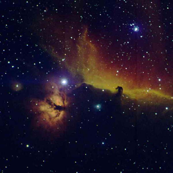 Flame and Horsehead Nebula (NGC 2024 and IC 434), false color RGB image (H-α, O-III, S-II), created with Vysos 6 telescope. Credit: Universitätssternwarte Bochum