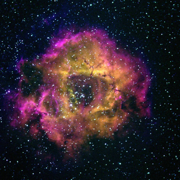 Rosette Nebula (NGC 2244), false color RGB image (H-α, O-III, S-II), created with Vysos 6 telescope. Credit: Universitätssternwarte Bochum