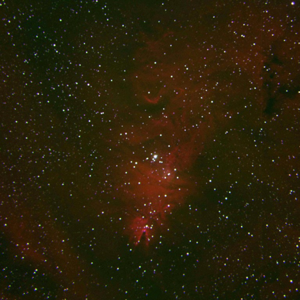 Cone Nebula (NGC 2264), false color RGB image (H-α, O-III, S-II), created with Vysos 6 telescope. Credit: Universitätssternwarte Bochum