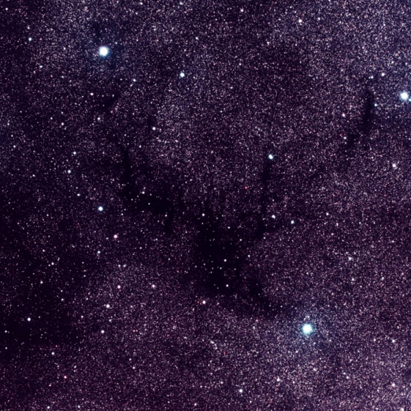 Western Circinus Cloud, false color RGB image (R, V, B), created with Vysos 6 telescope. Credit: Universitätssternwarte Bochum