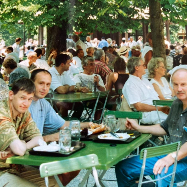 Araucaria_beginnings_1999