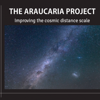 Araucaria book cover