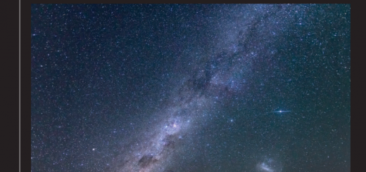 Araucaria book cover