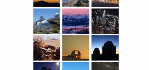 Araucaria Calendar 2023