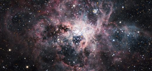 Tarantula Nebula, composite image taken by Mirek Kicia with 0.8-m telescope at OCA (currently OCM), 2023