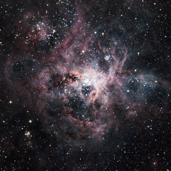 Tarantula Nebula, composite image taken by Mirek Kicia with 0.8-m telescope at OCA (currently OCM), 2023