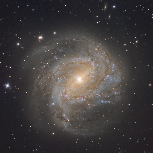 M83, composite image taken by Mirek Kicia with 0.8-m telescope at OCA (currently OCM), 2023