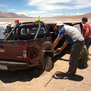 A trip around San Pedro de Atacama after the conference, Chile, 2016, credit: Nicolas Nardetto
