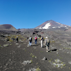 A hike in the Conguillío National Park, Chile, 2019